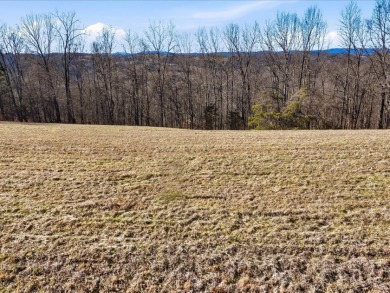 Norris Lake View Lot for Sale in Rock Harbor SOLD - photo 3