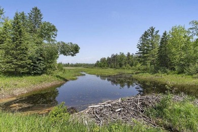 Motivated seller-open to offers. Welcome to the kind of property - photo 50