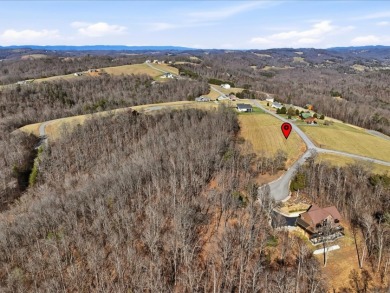 Norris Lake View Lot for Sale in Rock Harbor SOLD - photo 19