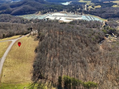 Norris Lake View Lot for Sale in Rock Harbor SOLD - photo 10