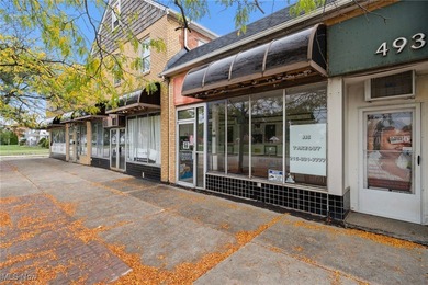 Introducing 483-493 E 260th back to market! A mixed-use - photo 5