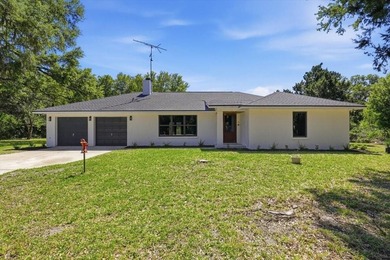 Lake Lochloosa Home Sale Pending in Hawthorne Florida