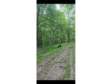 50 acres of peace, quiet and serenity. This 50 acre plot of land - photo 15
