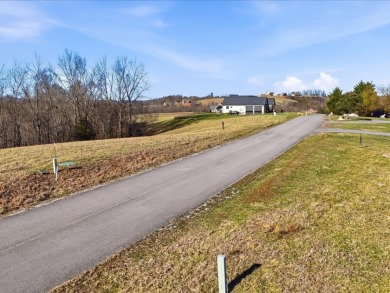 Norris Lake View Lot for Sale in Rock Harbor SOLD - photo 6