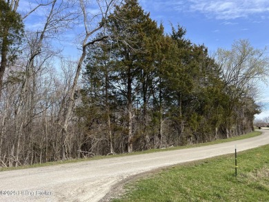 Lake Lot For Sale in Mt Eden, Kentucky
