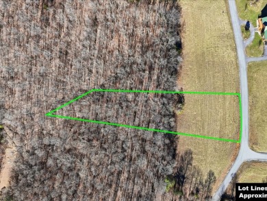 Norris Lake View Lot for Sale in Rock Harbor SOLD - photo 9