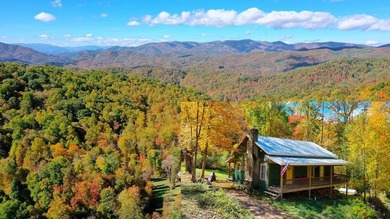 Welcome to an extraordinary 100+ acre mountain homestead nestled - photo 1