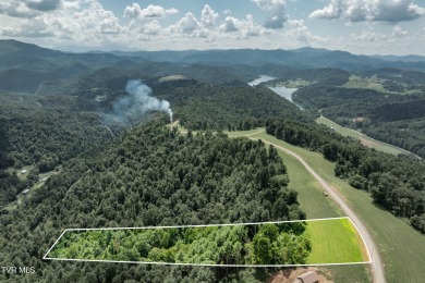 Watauga Lake Acreage For Sale in Butler Tennessee