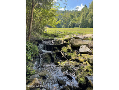 Welcome to an extraordinary 100+ acre mountain homestead nestled - photo 3
