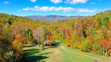 Welcome to an extraordinary 100+ acre mountain homestead nestled - photo 5