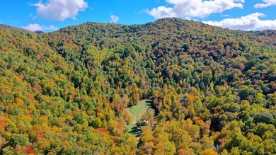 Welcome to an extraordinary 100+ acre mountain homestead nestled - photo 10