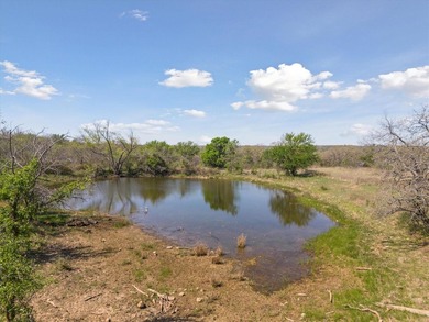 Escape to this breathtaking 5-acre retreat in the heart of Jack - photo 3