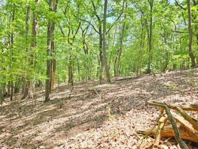 Lake Lot For Sale in Jasper, Georgia
