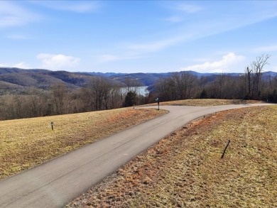 Norris Lake View Lot for Sale in Rock Harbor SOLD - photo 7