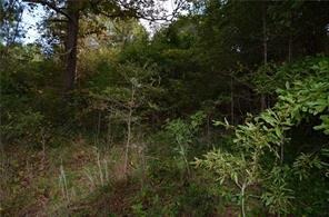 Building lot near Lake Hartwell - Lake Lot For Sale in Anderson, South Carolina