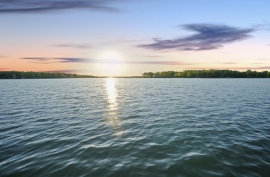 Lakeside living - photo 6