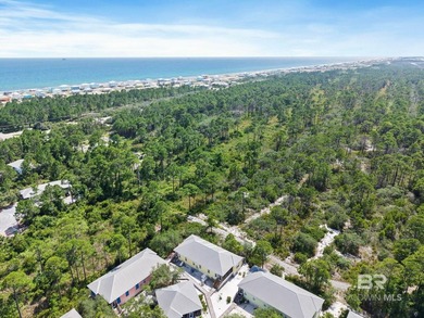 Welcome to Unit 402 at The Rookery II in Gulf Shores, Alabama! - photo 49
