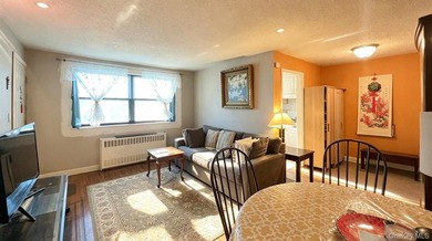NO INTERVIEW Garden-Style 1 Bedroom Coop for Sale in South - photo 7