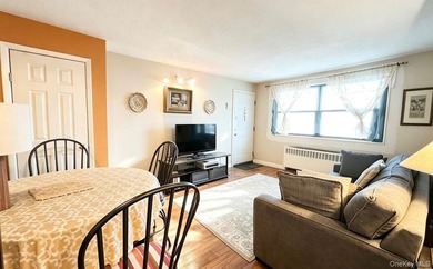 NO INTERVIEW Garden-Style 1 Bedroom Coop for Sale in South - photo 9