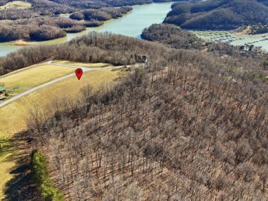 Norris Lake View Lot for Sale in Rock Harbor SOLD - photo 11