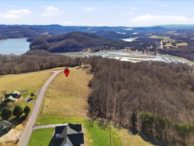 Norris Lake View Lot for Sale in Rock Harbor SOLD - photo 17