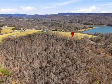 Norris Lake View Lot for Sale in Rock Harbor SOLD - photo 18