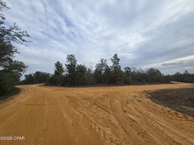 (private lake, pond, coastal) Acreage For Sale in Alford Florida