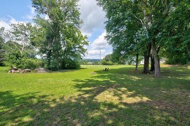 ONE LEVEL HOME ON HALF ACRE LEVEL LOT WITH PRETTY VIEW OF - photo 27