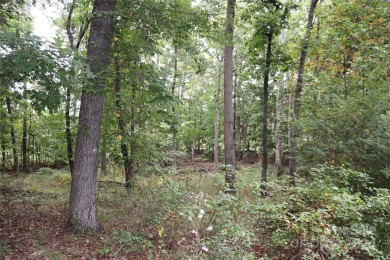 Lake Lot For Sale in Granite Falls, North Carolina