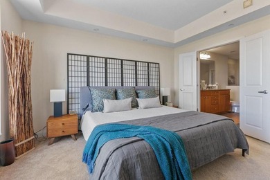 Beautiful 17th floor 2BR, 2BA Emerson floor plan available for - photo 16