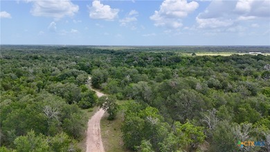 (private lake, pond, creek) Acreage For Sale in Waelder Texas