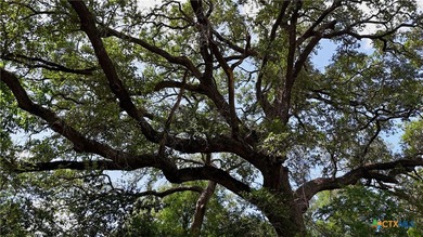 368 acres of phenomenal recreational and hunting ground in - photo 6