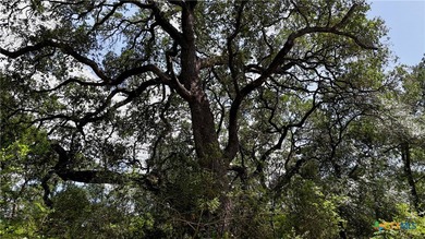 368 acres of phenomenal recreational and hunting ground in - photo 7