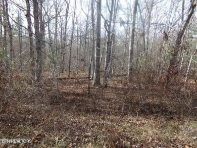 Lake Lot For Sale in Crossville, Tennessee