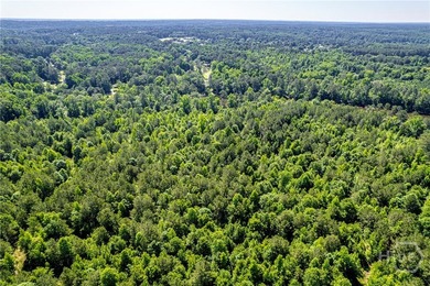 Rare opportunity to acquire approximately 285.44 acres in - photo 13