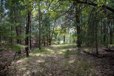 Castle Rock Lake Acreage For Sale in New Lisbon Wisconsin