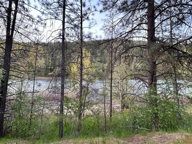 Affordable riverfront living, perfect for fishermen, this one - photo 6