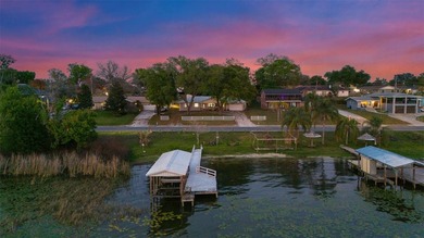 Lake Ariana Home For Sale in Auburndale Florida