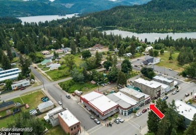 Lake Commercial For Sale in Spirit Lake, Idaho