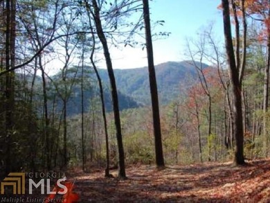 (private lake, pond, creek) Acreage For Sale in Clayton Georgia