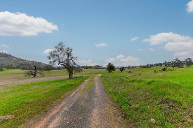 Lake Acreage For Sale in Angels Camp, California