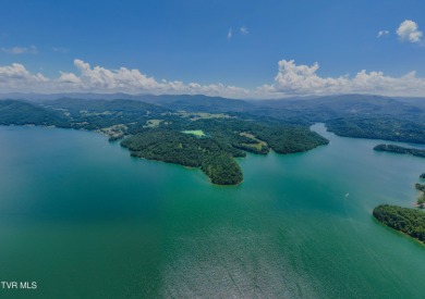 Watauga Lake Acreage For Sale in Butler Tennessee