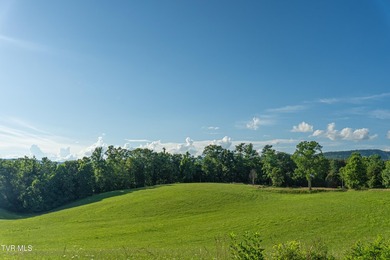 What a property and what an opportunity!!! This tract is perfect - photo 2