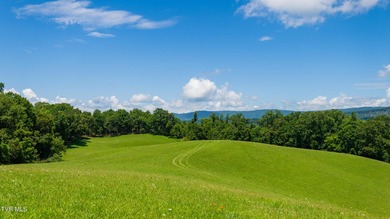 What a property and what an opportunity!!! This tract is perfect - photo 4