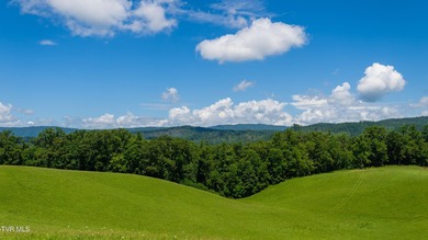 What a property and what an opportunity!!! This tract is perfect - photo 5