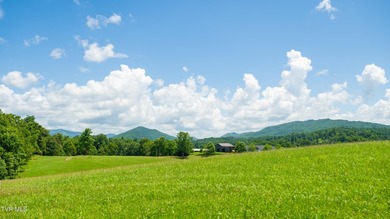 What a property and what an opportunity!!! This tract is perfect - photo 6