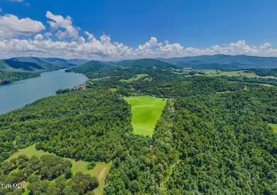 What a property and what an opportunity!!! This tract is perfect - photo 9