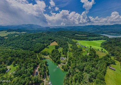 What a property and what an opportunity!!! This tract is perfect - photo 10