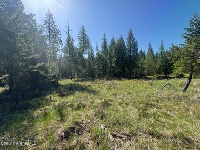 Lake Acreage For Sale in Priest River, Idaho