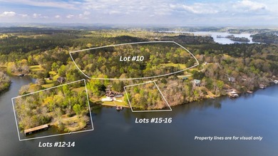 PUBLIC ONLINE AUCTION - 90 plus acres located on Lay Lake in - photo 1